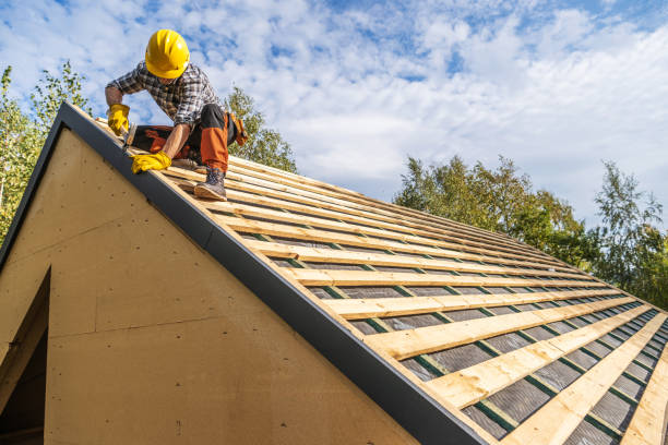 Best Metal Roofing Contractor  in Tarkio, MO