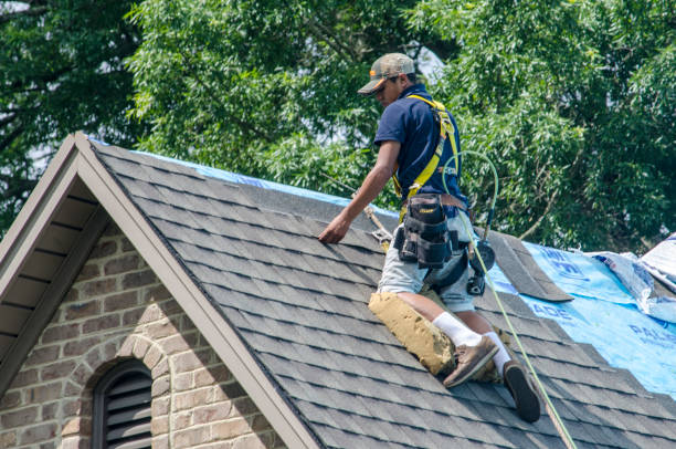 Best Local Roofing Companies  in Tarkio, MO